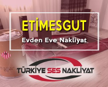 etimesgut-evden-eve-nakliyat