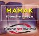 mamak-evden-eve-nakliyat